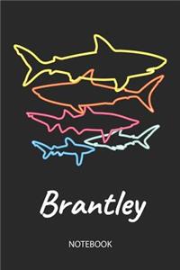 Brantley - Notebook