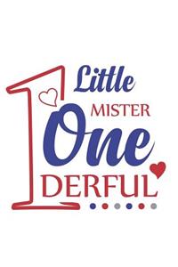 Little Mister One Derful