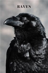 Raven
