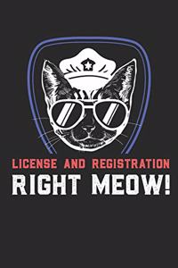 License and Registration Right Meow