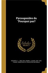 Pycnogonides Du Pourquoi Pas?