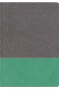 NKJV, The Modern Life Study Bible, Leathersoft, Gray/Green, Indexed