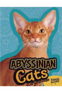 Abyssinian Cats