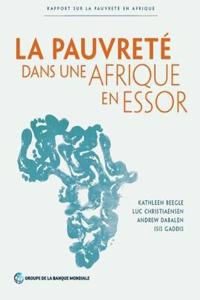 La Pauvreté Dans Une Afrique En Essor