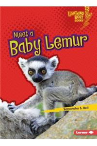 Meet a Baby Lemur