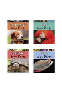 Animal Body Parts