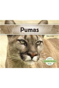 Pumas