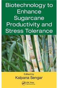 Biotechnology to Enhance Sugarcane Productivity and Stress Tolerance