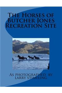 Horses of Butcher Jones Recreation Site