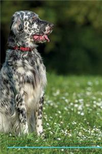 English Setter Affirmations Workbook English Setter Presents