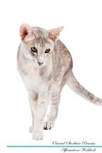 Oriental Shorthair Affirmations Workbook Oriental Shorthair Presents: Positive and Loving Affirmations Workbook. Includes: Mentoring Questions, Guidance, Supporting You.