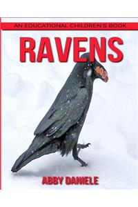Ravens! An Educational Children's Book about Ravens with Fun Facts & Photos