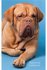Password Notebook: Internet Address and Password Logbook / Journal / Diary - French Mastiff Cover