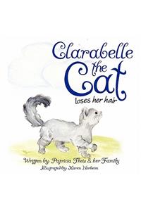 Clarabelle the Cat Loses Her Hair