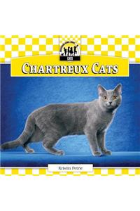 Chartreux Cats