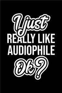 I Just Really Like Audiophile Ok?