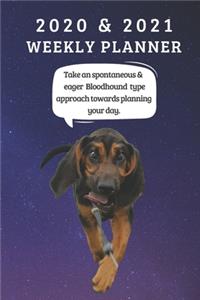 2020 & 2021 Two-Year Weekly Planner For Bloodhound Dog Owner Gift - Funny Quote Appointment Book - Two Year Agenda Notebook