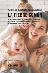 47 Recetas De Comidas Para Solucionar La Fiebre Común