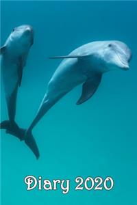 Diary: Dolphins - Bespoke, Personalised Desk Diary. Contact Us If You Would Like Your Own Image, Name or Other Text on a Book