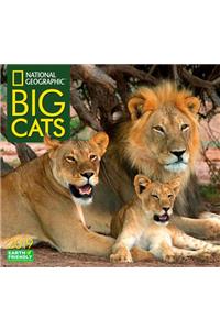 National Geographic Big Cats 2019 Calendar