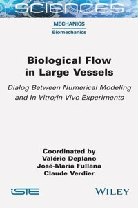 Biological Flow in Large Vessels: Dialog Between Numerical Modeling and in Vitro/In Vivo Experiments