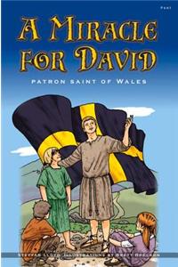 Miracle for David, A - Patron Saint of Wales