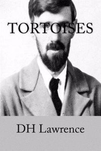 Tortoises