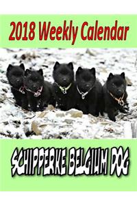 2018 Weekly Calendar Schipperke Belgium Dog