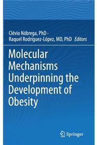 Molecular Mechanisms Underpinning the Development of Obesity