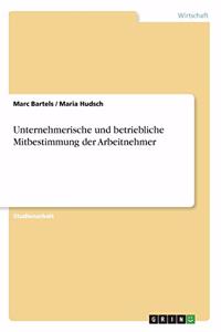 Unternehmerische und betriebliche Mitbestimmung der Arbeitnehmer