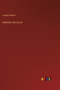 Amerika wie es ist