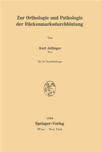 Zur Orthologie Und Pathologie Der Rückenmarksdurchblutung