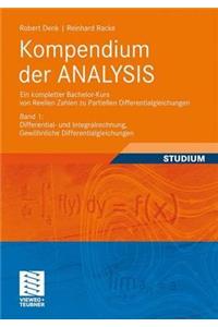 Kompendium Der Analysis - Ein Kompletter Bachelor-Kurs Von Reellen Zahlen Zu Partiellen Differentialgleichungen