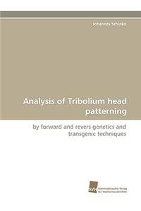 Analysis of Tribolium head patterning