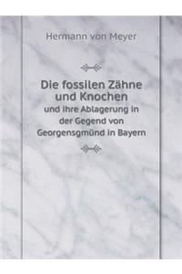 Die Fossilen Zähne Und Knochen Und Ihre Ablagerung in Der Gegend Von Georgensgmünd in Bayern