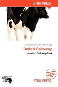 Belted Galloway