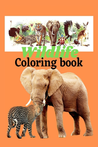 Wildlife coloring book