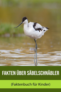 Fakten über Säbelschnäbler (Faktenbuch für Kinder)