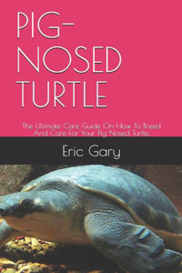 Pig-Nosed Turtle