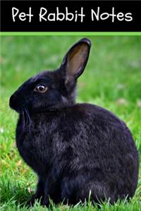 Pet Rabbit Notes