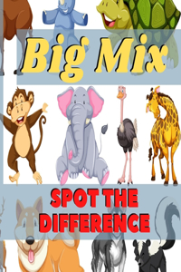 Big Mix - Spot the difference