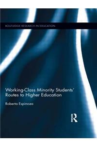 Working-Class Minority Students' Routes to Higher Education