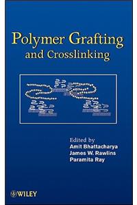 Polymer Grafting and Crosslinking