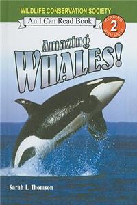 Amazing Whales!