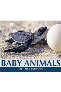 Baby Animals of the Seashore