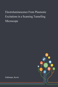 Electroluminescence From Plasmonic Excitations in a Scanning Tunnelling Microscope