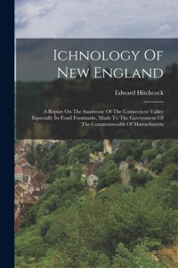 Ichnology Of New England