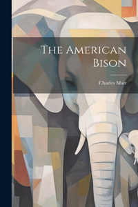 American Bison
