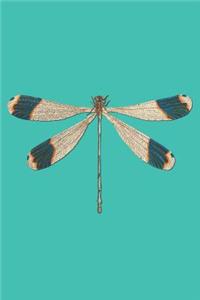 Future Entomologist Notebook