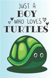 Just A Boy Who Loves Turtles